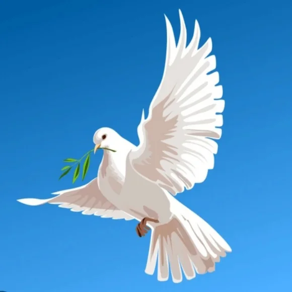 COPY - GIVEAWAY - Picture 1 of 1